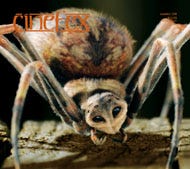 Cinefex, JANUARY 2007. Charlotte’s Web, Casino Royale, Eragon, Night at the Museum, Flyboys